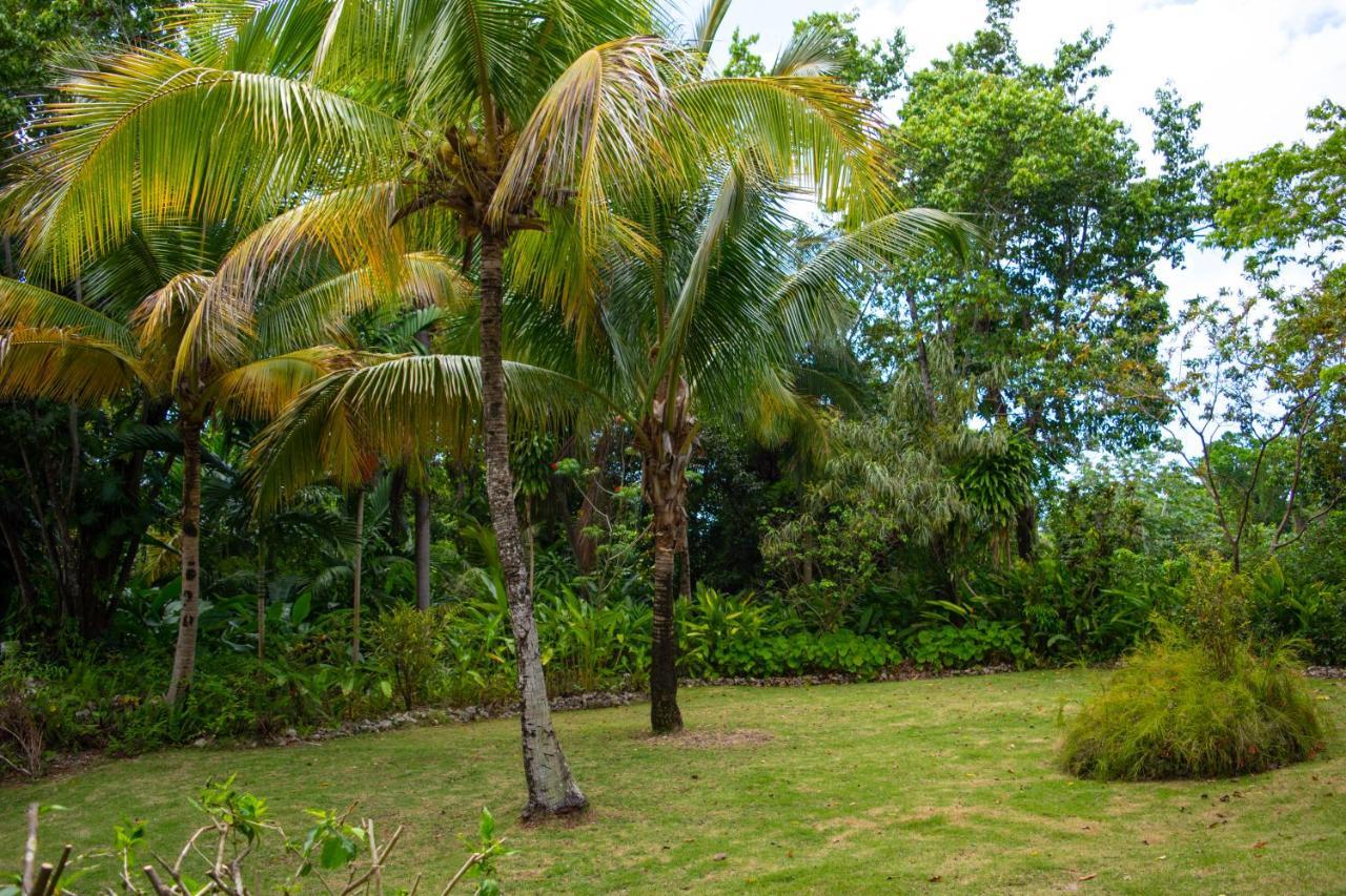M Hotel Port Antonio Dış mekan fotoğraf